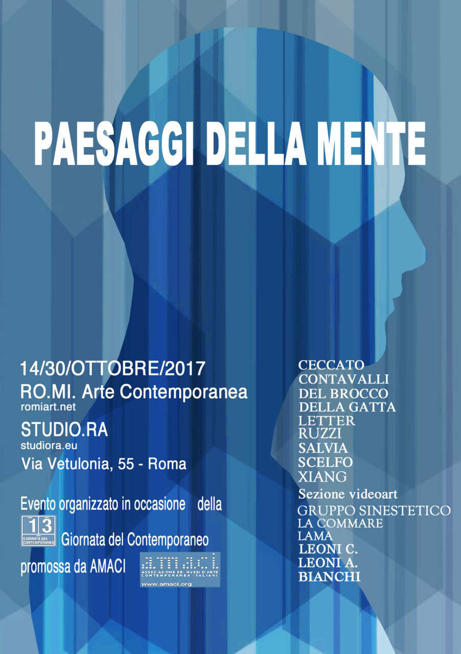 SEZIONE VIDEO RO.MI.
